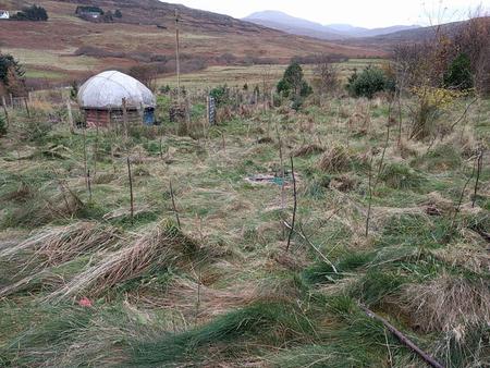 laying out a new garden