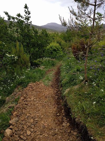grading path surface