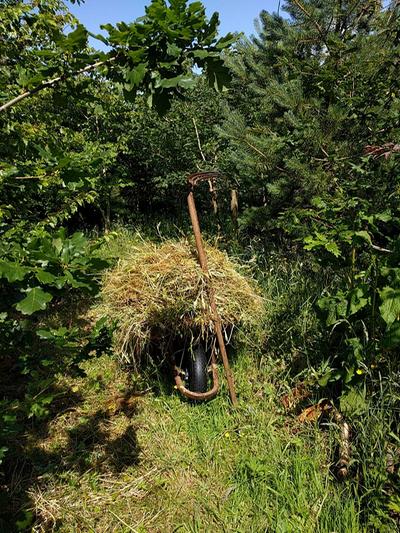 wheelbarrow full of hay