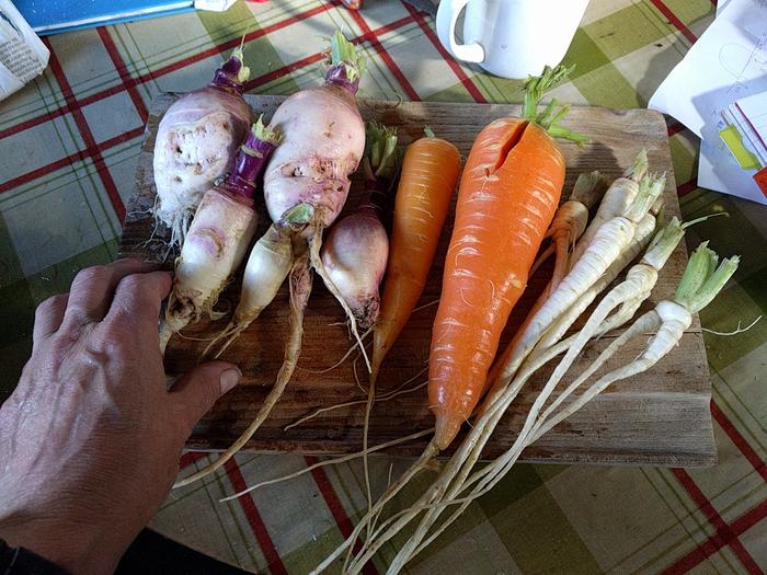 root vegetables laid on a wooden chopping board