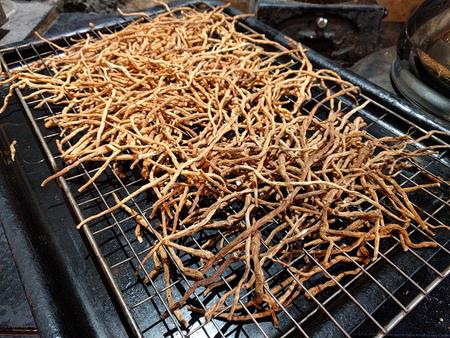 dried silverweed root on a rack