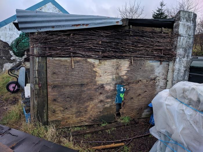 wattle willow panel infill on shed end