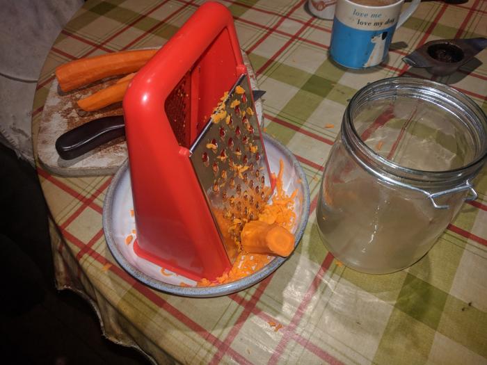 simple fermented carrots