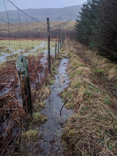 observing water flow under fence after heavy rain