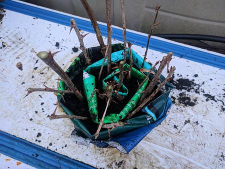 compact cutting propagation method