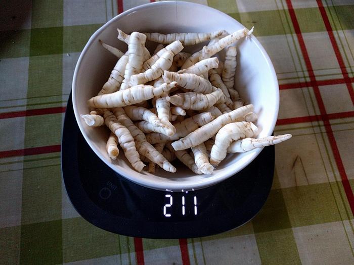 sugar from skirret root