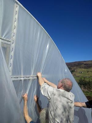 men fitting a polytunnel cover using wigglewire