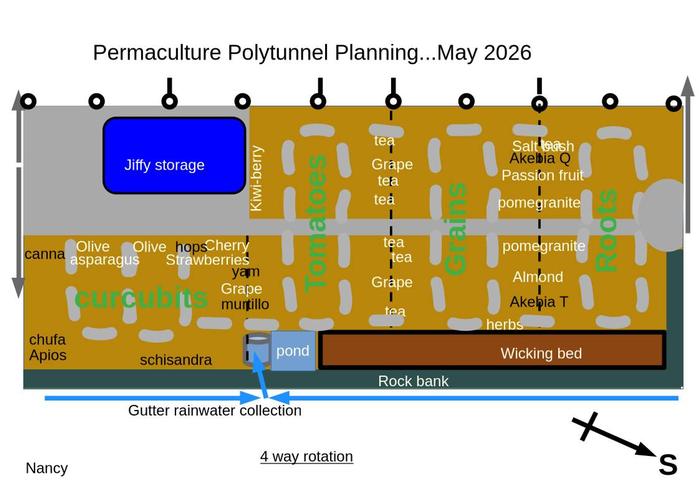rotation planting in a polytunnel or greenhouse