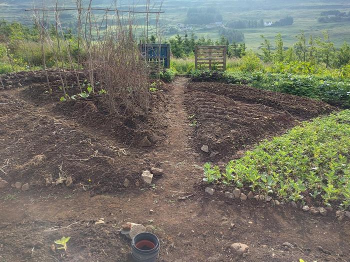 newly planted kitchen garden with radiating beds