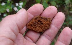 iron layer in soil