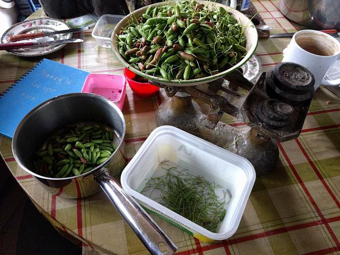fuchsia berry harvest