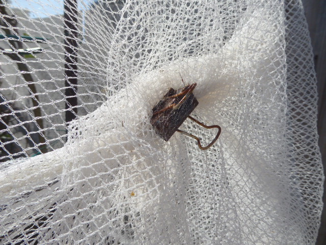 secure the overlapping edges of the netting