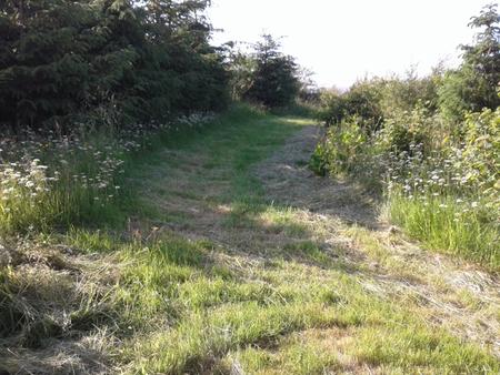 Grass Trackway mow with scythe Skye