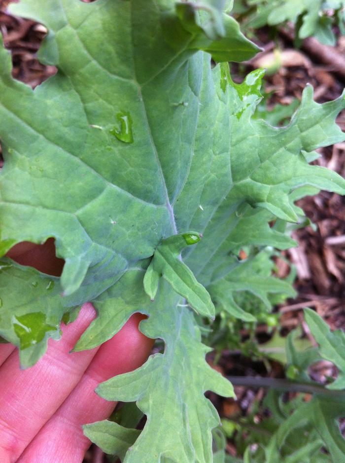 [Thumbnail for image.jpg]