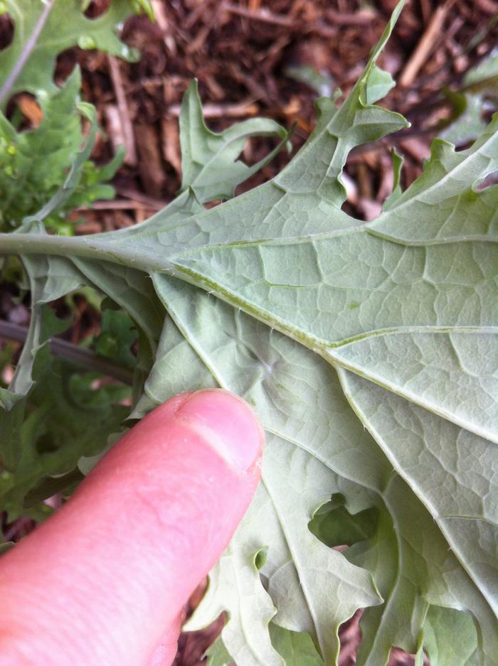 [Thumbnail for image.jpg]