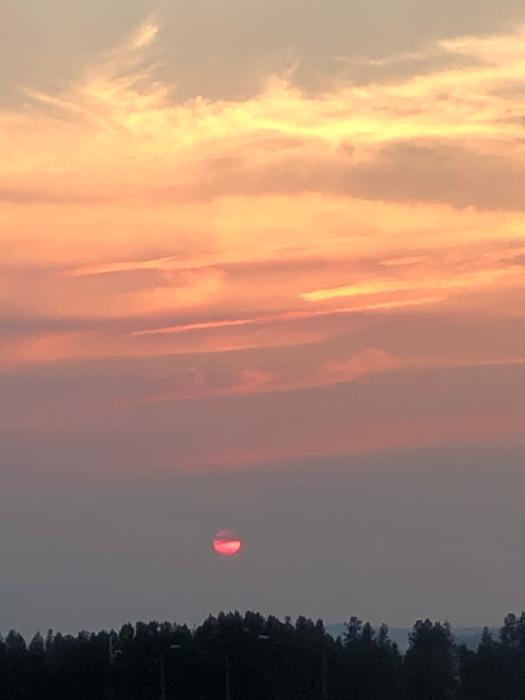 Dreamy sunset 