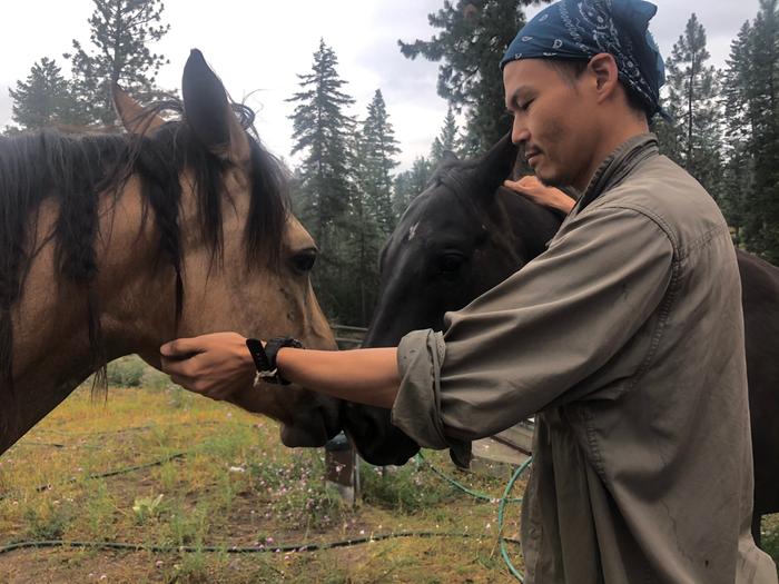 Horse friends 
