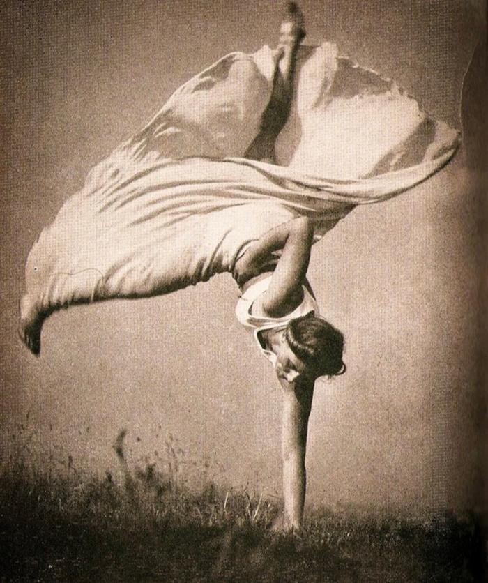 This classic photo (which to me, resembles a peace lily) 
