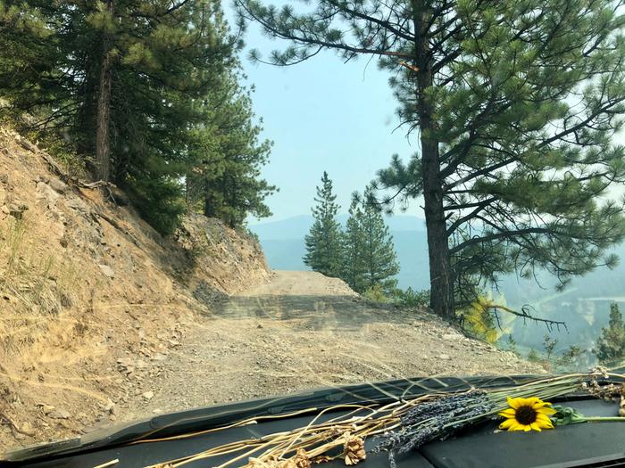 Sometimes when you ask for adventure...