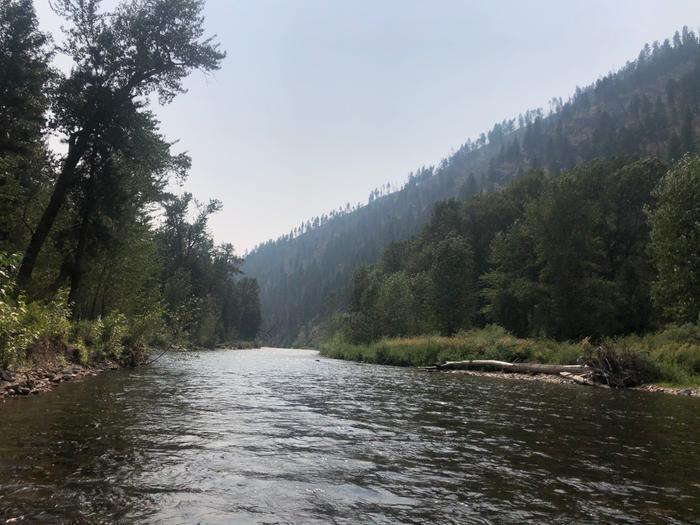 I regret not going for a swim more often this summer. I will miss the times I spent in the water now that it’s getting too cool for it. 