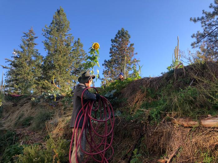 Watering the garden