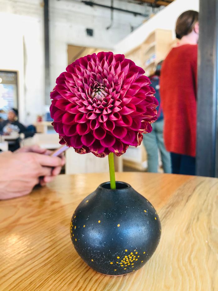 Coffee shop flower 