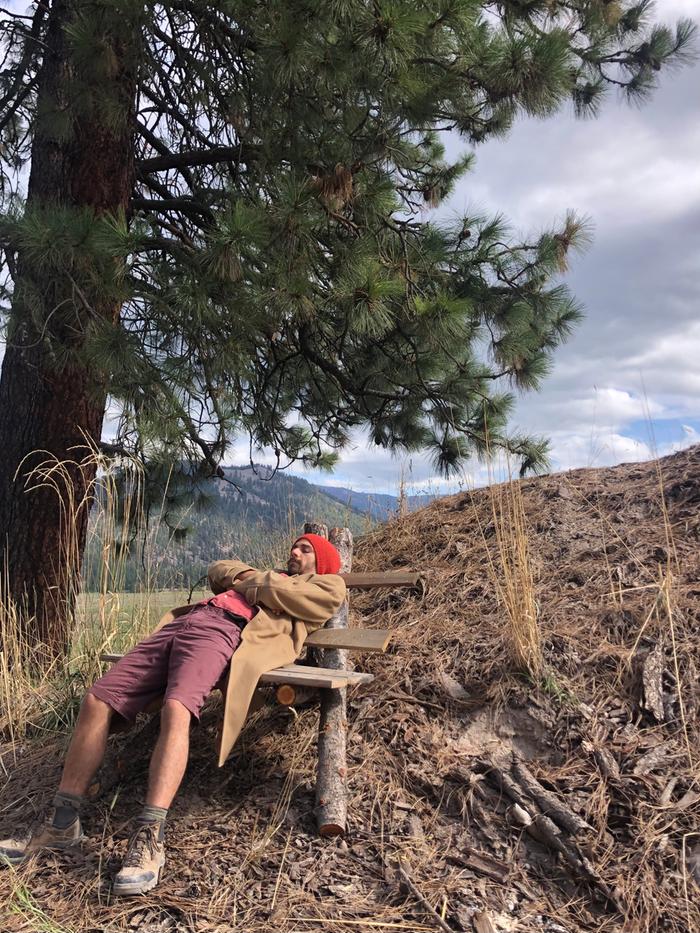 Grey napping on the rock jack style chair Mike made this summer