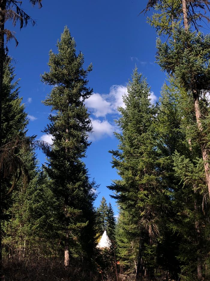 View of the tipi from Fred’s plot 