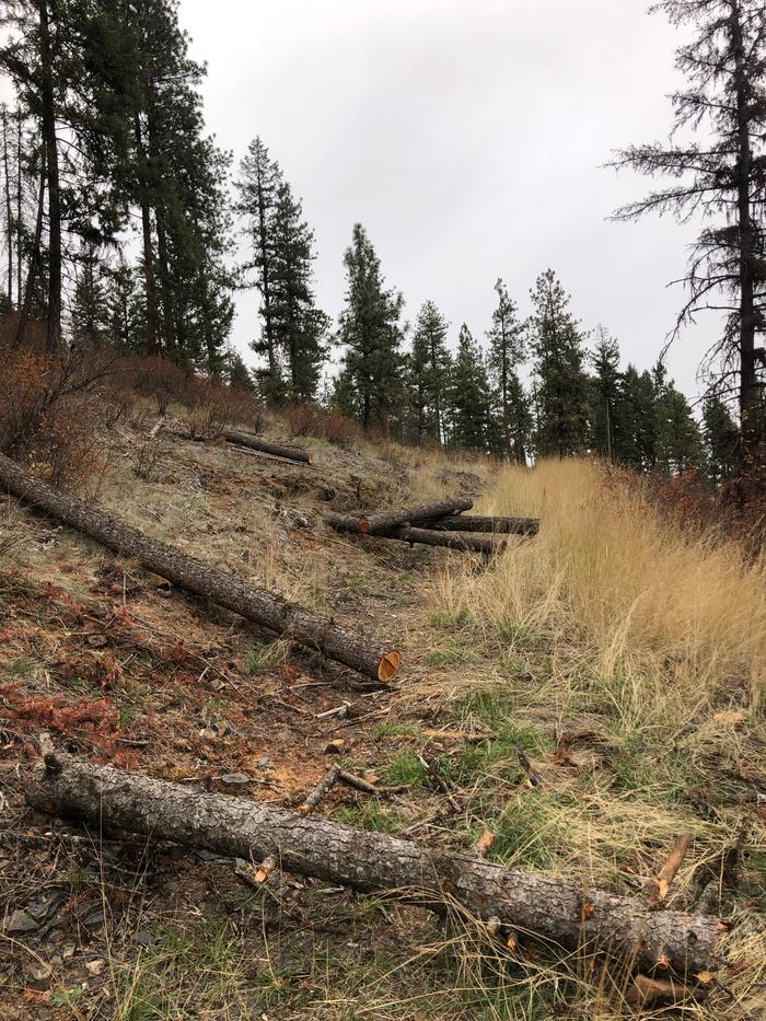 A series of booby traps set up along the road