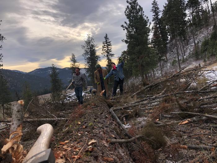 Firewood day! Chris, Grey and Hannah limb while Dez is..... posing in the background 