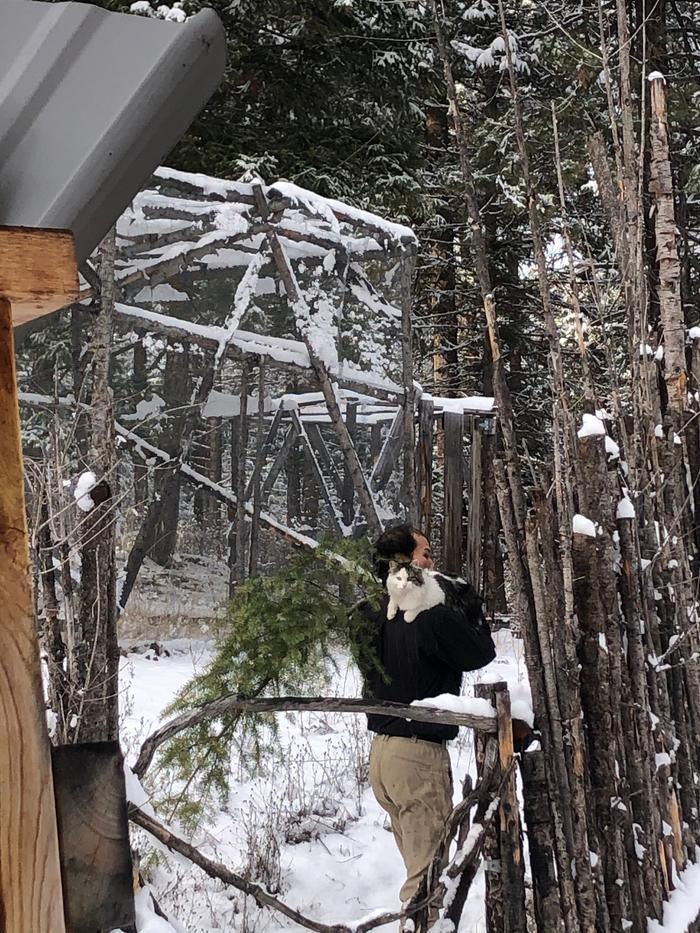 Dez with our Christmas tree in one hand, fluffy kitty in the other. 