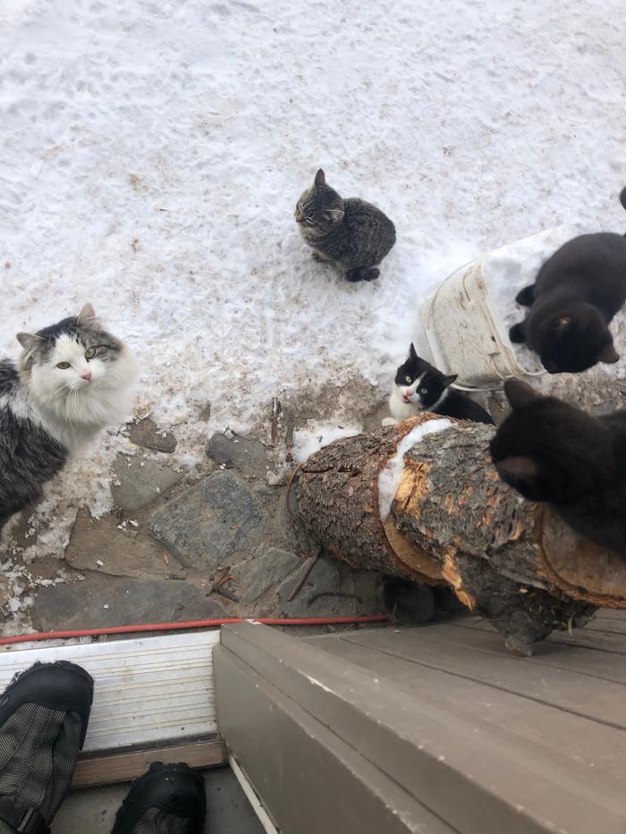 Waiting (not so) patiently outside the door for breakfast 