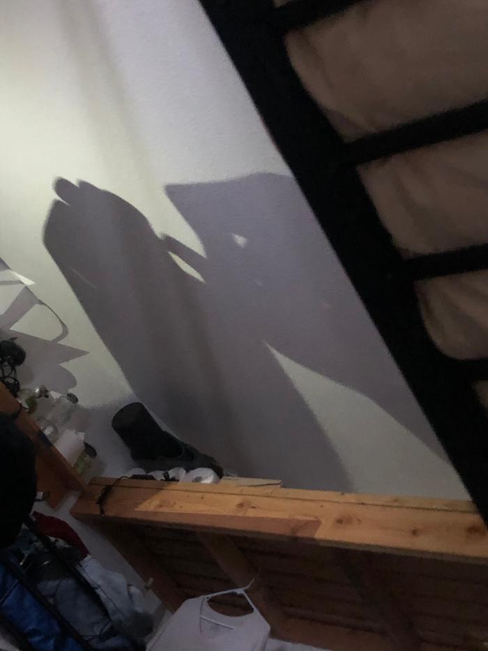 Shadow puppets