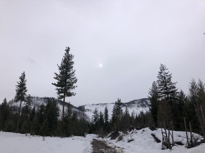 A cold gray day at the lab, yet it brings a welcome tranquility (except for the fact that I got one of our trucks stuck in the mud here 🙃)