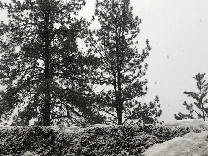 More snow. I hoped it was over but alas.... 
