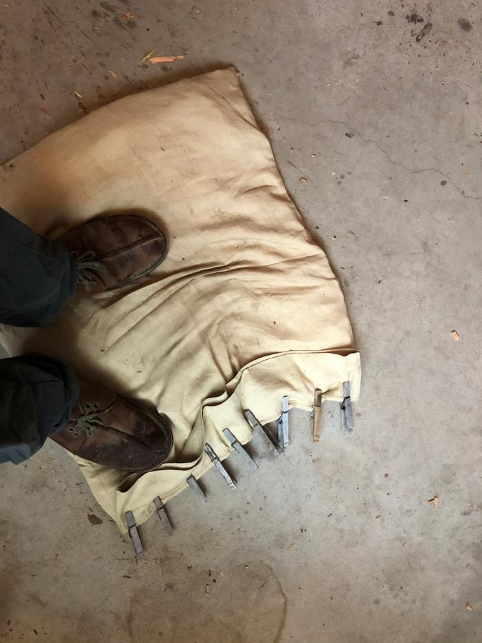 Threshing some sepp holzer grain with the pillowcase method 