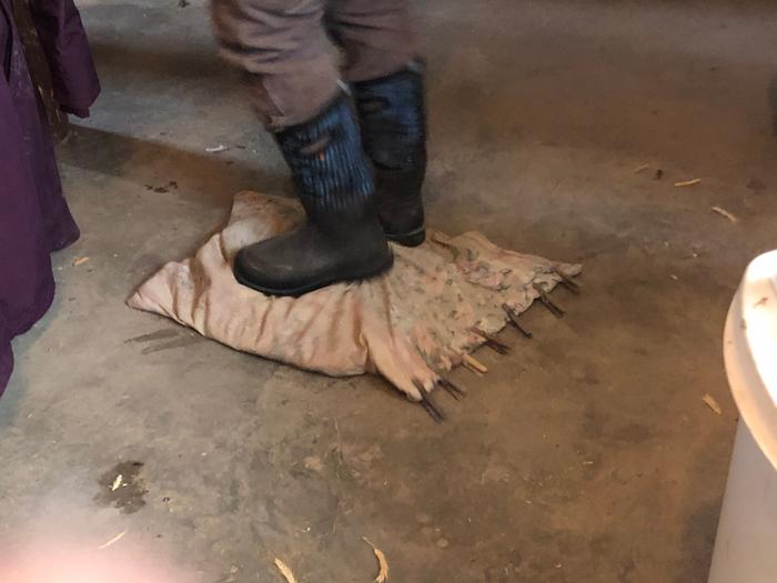 Stomp stomp