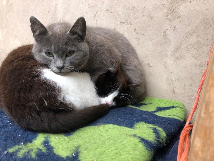 What a snuggled pair 
