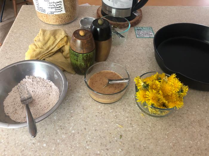 I made dandelion fritters for the first time. They were very pleasing to my taste testers.