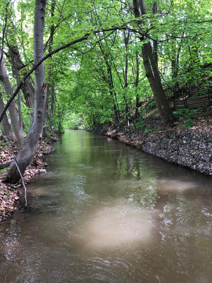 Being near water today gave me the feeling of “ahhh...” my heart sang to be near it and smell the smells and be surrounded by trees that have leaves 