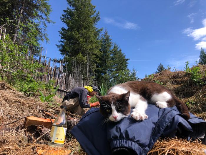 Momo perched on his coat. Gardening with such company is just delightful 