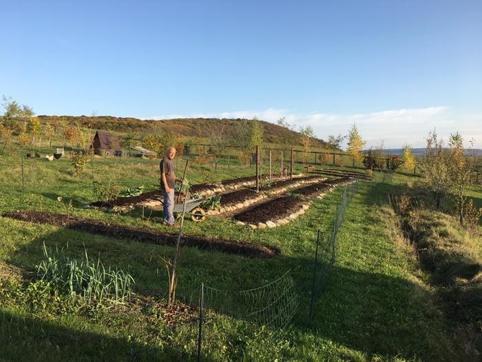 [Thumbnail for raised-beds-prepared-in-autumn.jpg]