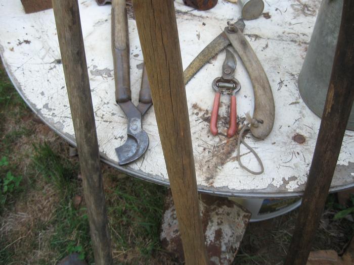 pruners and folding tree saw