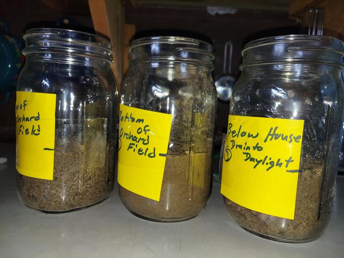 In jars ready for water. Soil level is are marked to aid in checking for amount of clay expansion