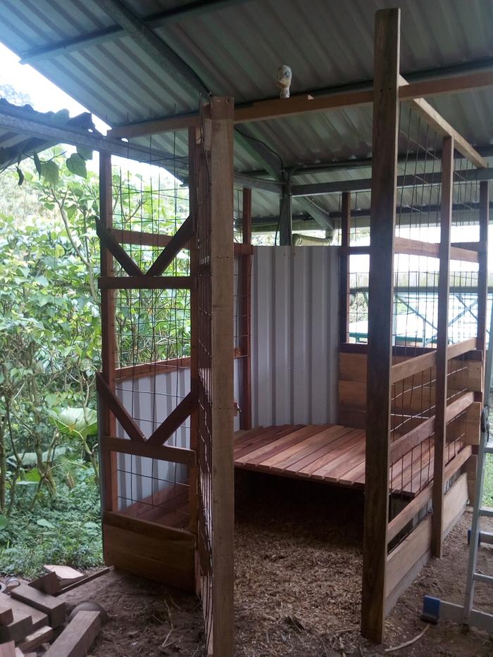 Goat pen in barn