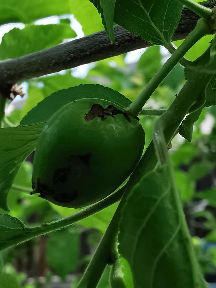 Notice the black areas