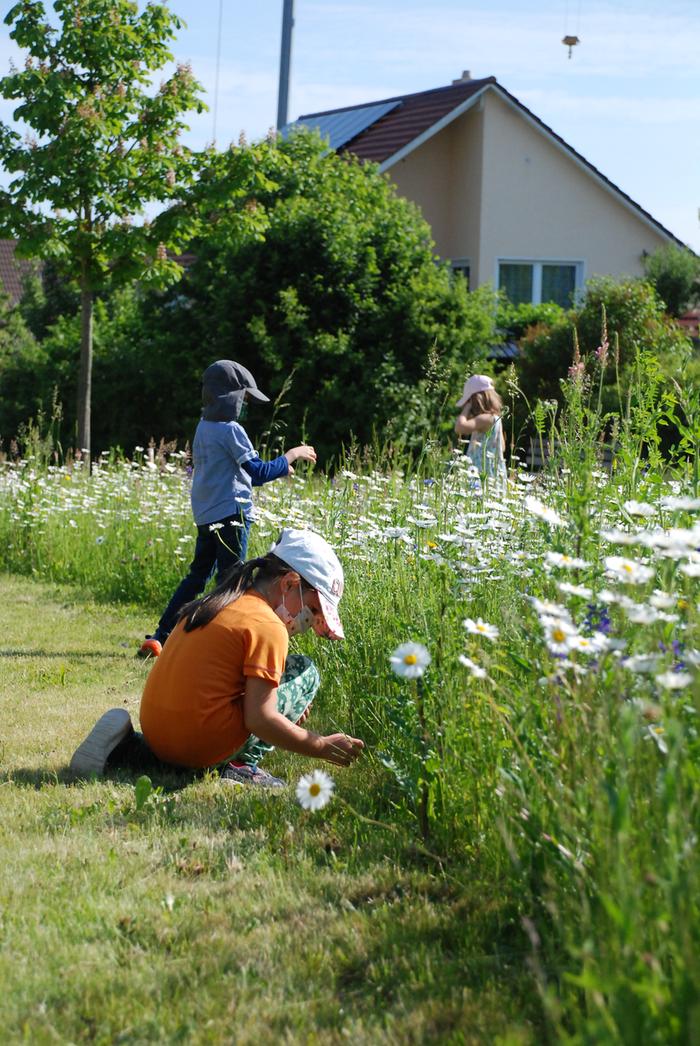 Meadow theme day with first-graders