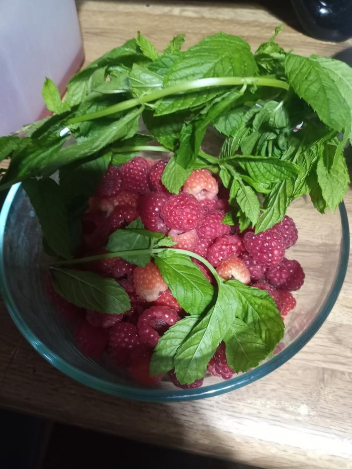 Raspberries with mint garnish