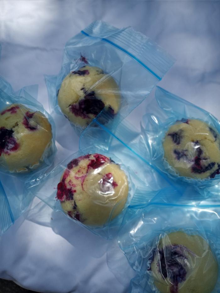 I got not nary a bite! But I was gratified, every one said the berries were quite tart!