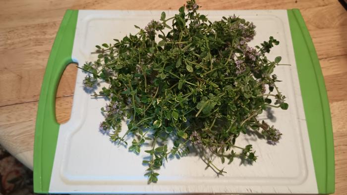 Freshly harvested thyme. No special preparation here.